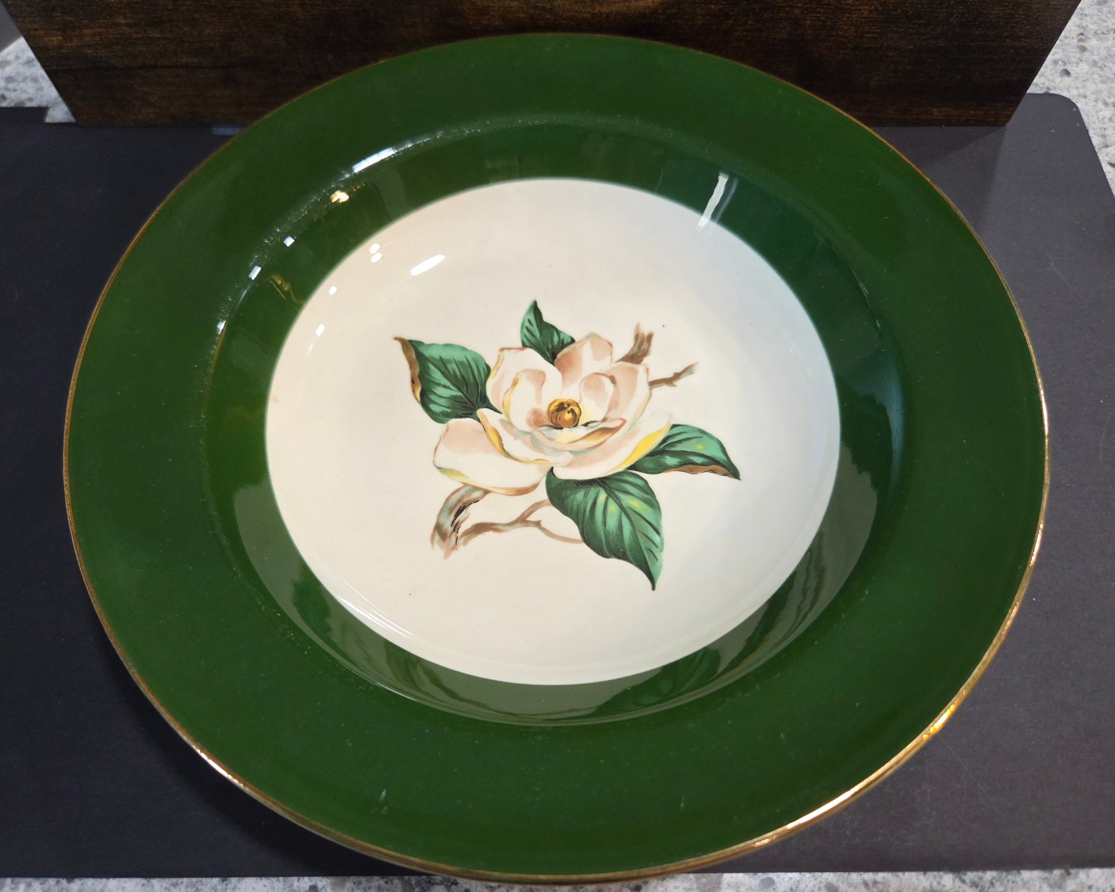 Lifetime Jaderose Rim Soup Bowl - Vintage USA China with Green Rim