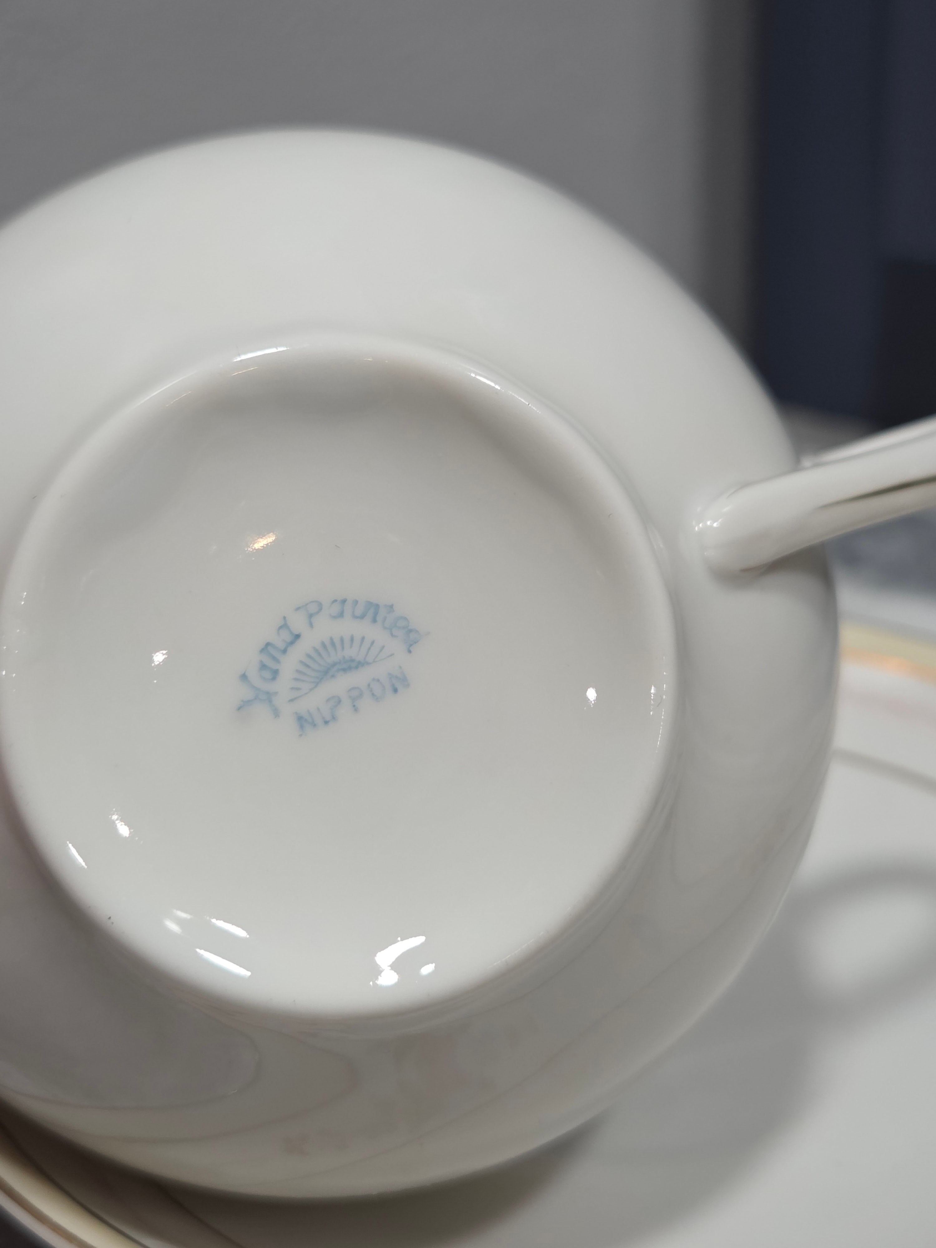 Antique Nippon Noritake Marguerite Flat Cup & Saucer - Hand Painted, Circa 1914