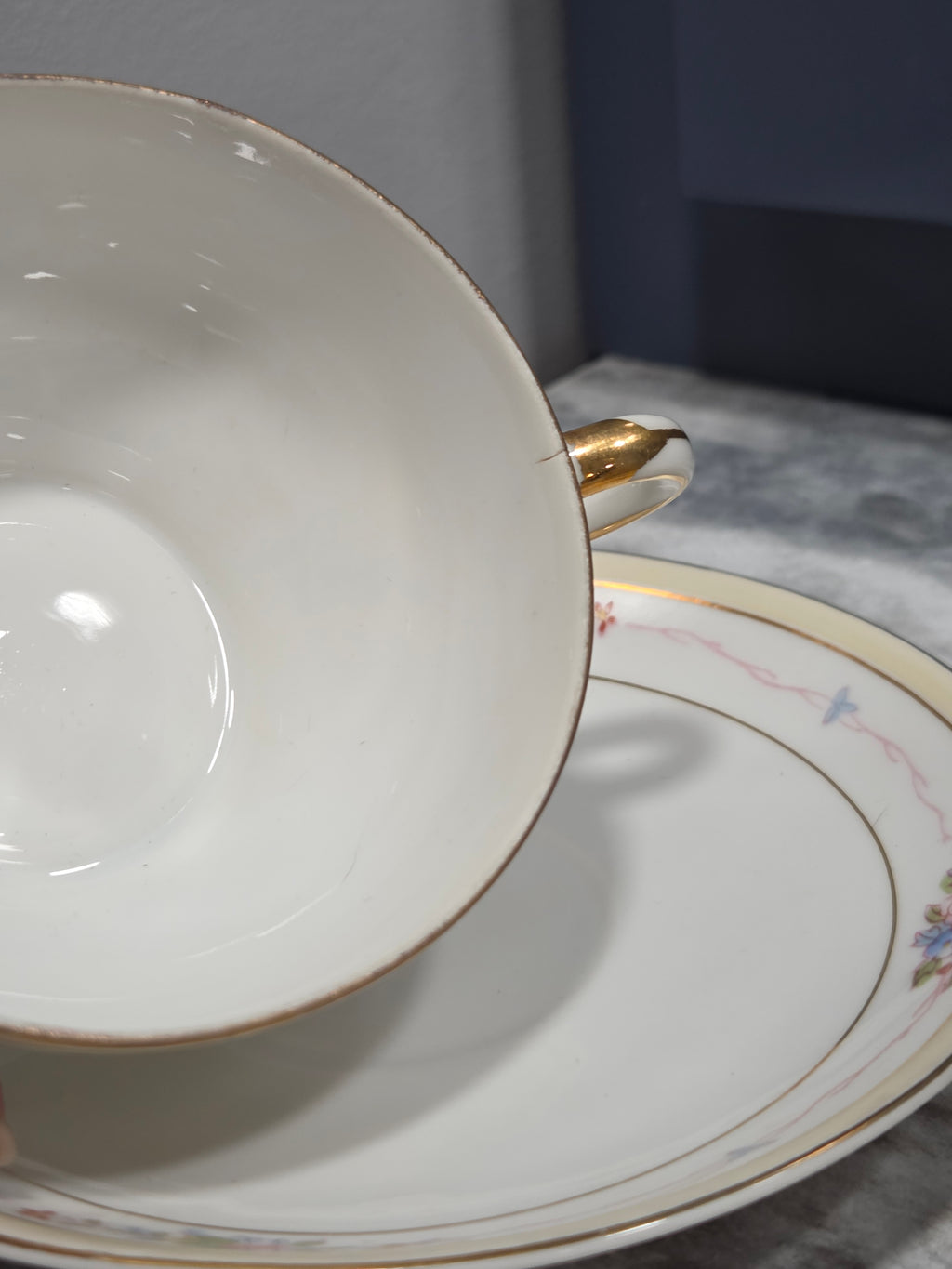 Antique Nippon Noritake Marguerite Flat Cup & Saucer - Hand Painted, Circa 1914