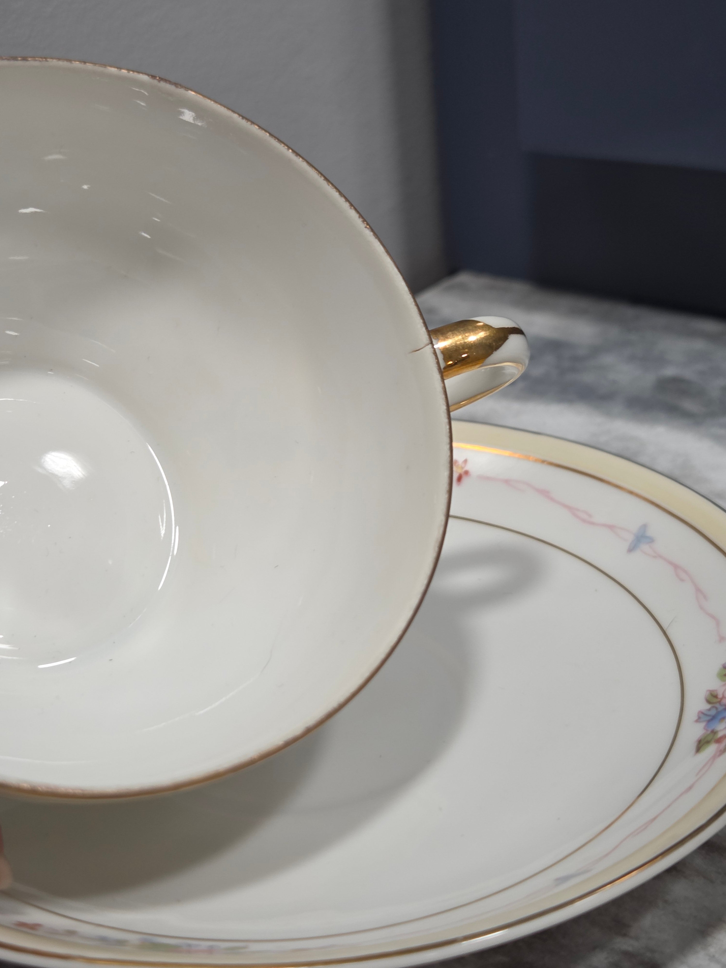 Antique Nippon Noritake Marguerite Flat Cup & Saucer - Hand Painted, Circa 1914