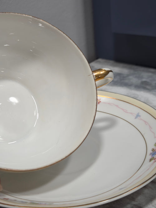 Antique Nippon Noritake Marguerite Flat Cup & Saucer - Hand Painted, Circa 1914