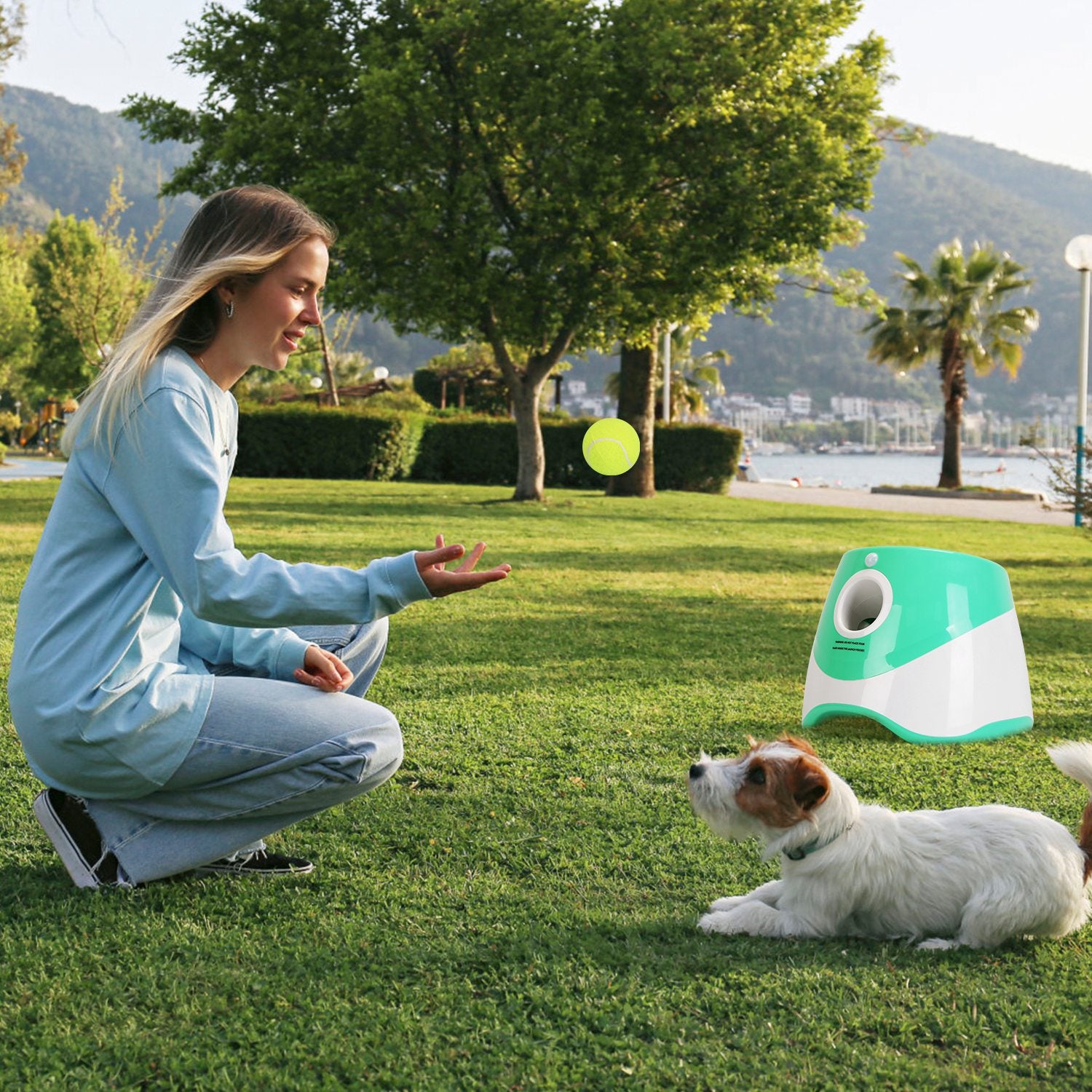 Automatic Dog Ball Launcher with 6 Tennis Balls - Rechargeable Fetch Machine