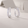 Touch Tenderness Moissanite Stud Earrings – S925 Sterling Silver, Platinum-Plated